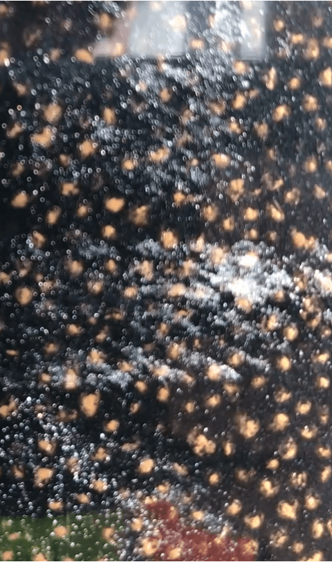 Macro shot of oil droplets on the media surface